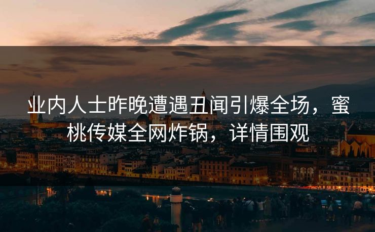 业内人士昨晚遭遇丑闻引爆全场，蜜桃传媒全网炸锅，详情围观